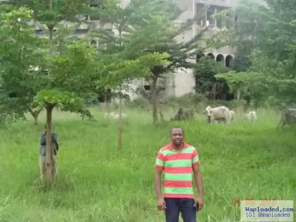 Photo: Herdsmen and cows spotted inside University of Nigeria, Nsukka campus
